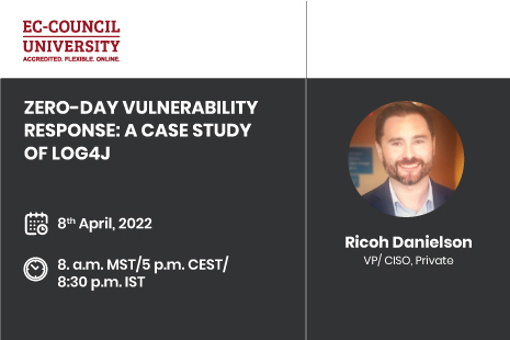 Understanding the Impact of the Log4j Zero-Day Vulnerability