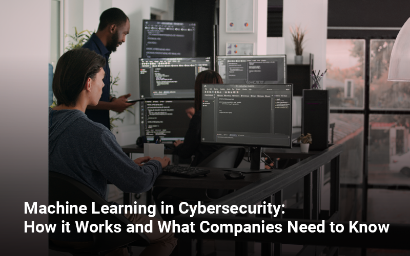 Machine Learning in Cybersecurity