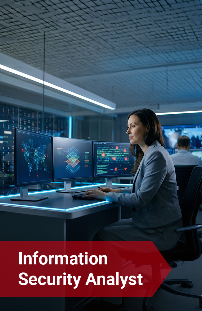 Information Security Analyst – Protecting Critical Data