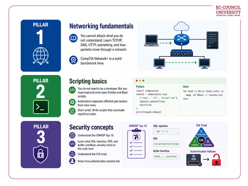 Penetration Testing Career Fundamentals