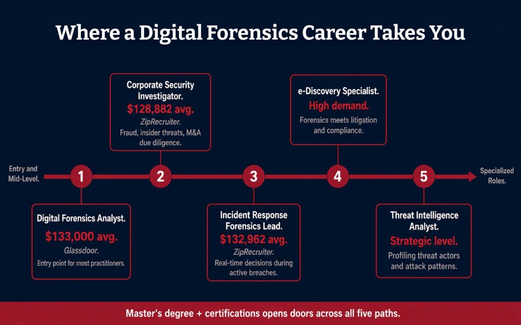 Infographic 2 - Top 10 Digital Forensics Skills and Tools Every MSCS Student Should Master